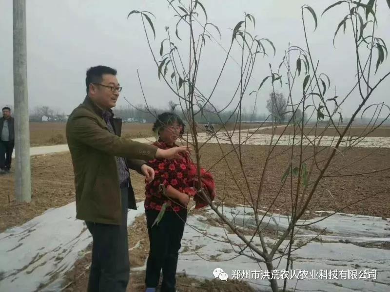 水溶肥批發